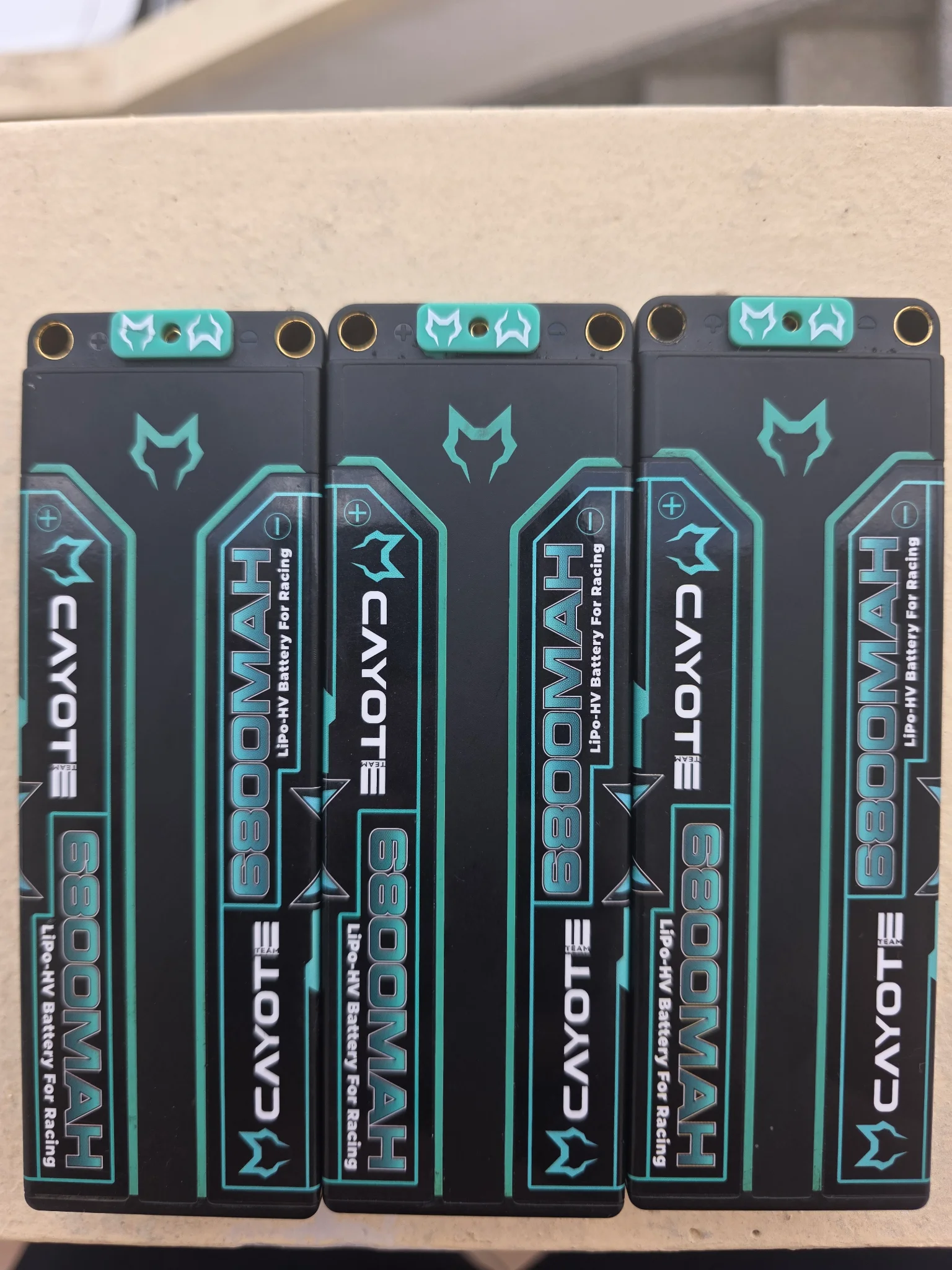Cayote 6800